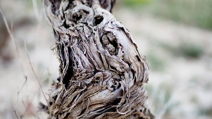 Epel, baina izpirik gabe