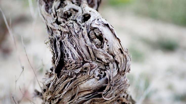 Epel, baina izpirik gabe