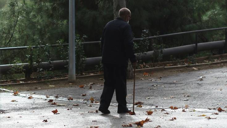 Arabako biztanleria zahartuago eta bakartuago egongo da 15 urte barru