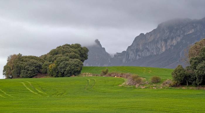 Monotonia ez da politikara mugatzen