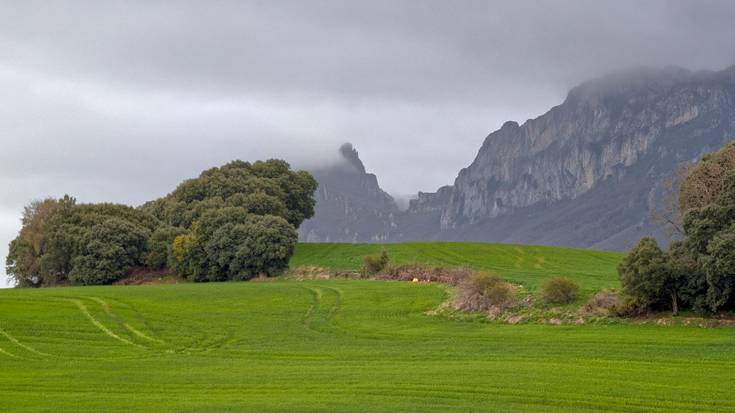 Monotonia ez da politikara mugatzen