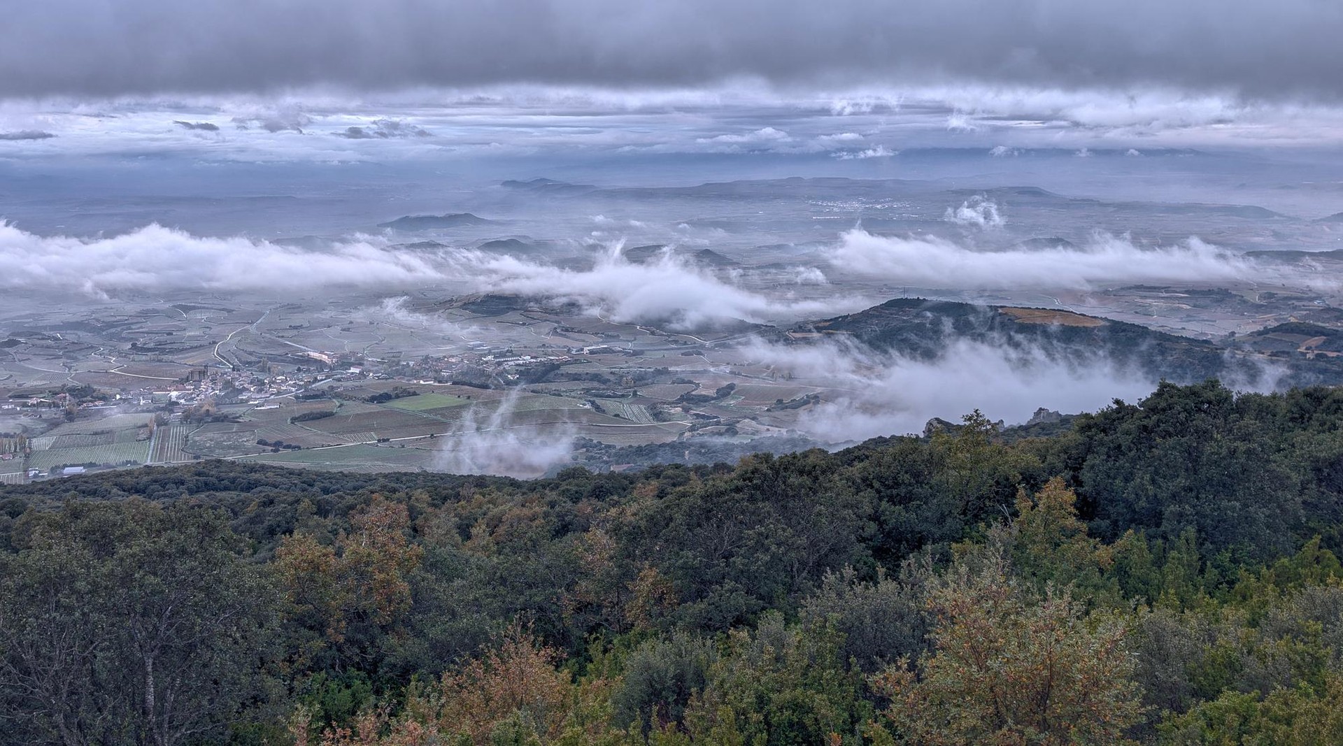 Tenperaturari eutsita