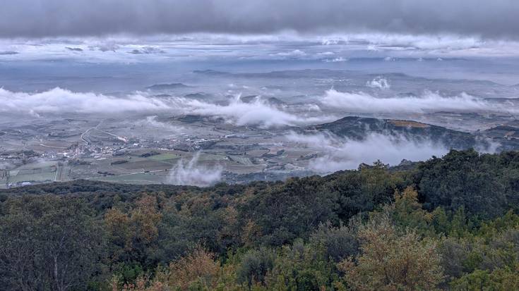 Tenperaturari eutsita