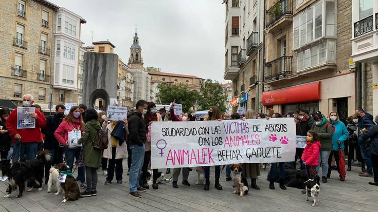 Gasteizko Udala epaituko dute txakurtegiko boluntarioei egindako sexu abusuen auzian