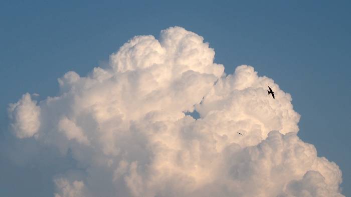 Badaezpada ere, euritakoa eskura