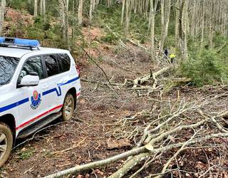 Langile bat hil da Pipaonen, adar batek jota