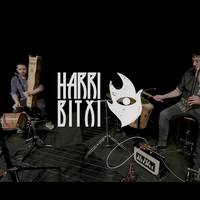 Harribitxi eta lagunak