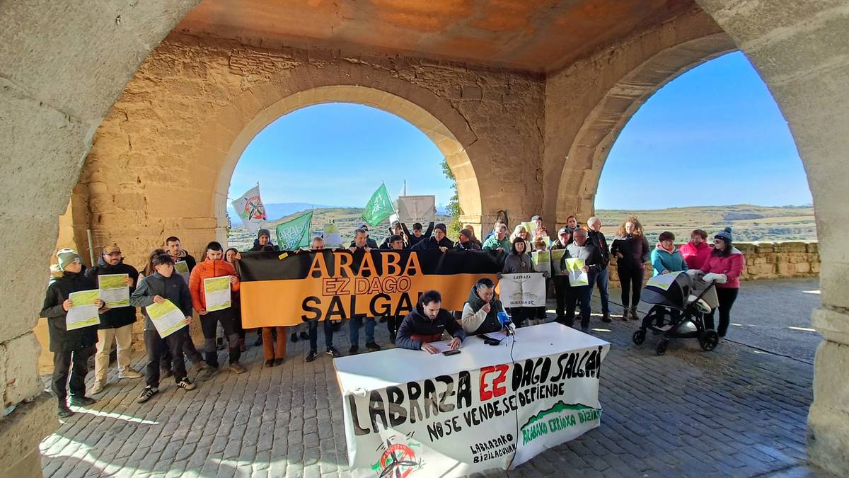 Labrazako zentral eolikoa berehala gelditzeko eskatu dute kontzejuak eta hainbat eragilek