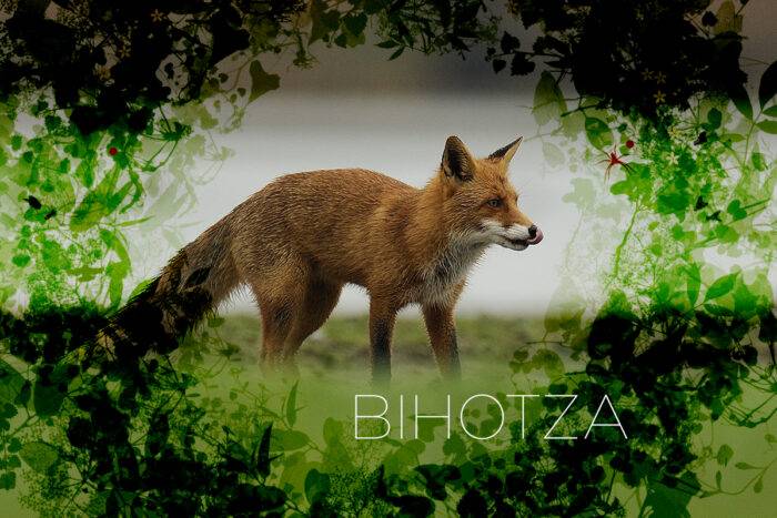 'Bihotza' film dokumentala