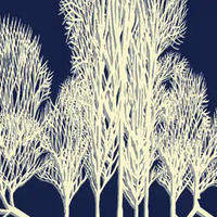 Kultura erdigunean, 'Pailazokoadroak' mikroantzerkia