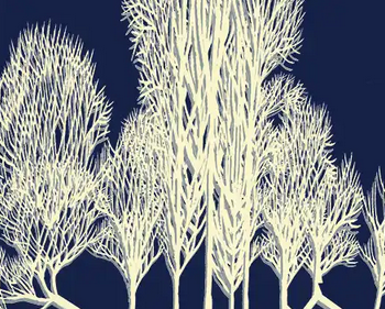 Kultura erdigunean, 'Pailazokoadroak' mikroantzerkia