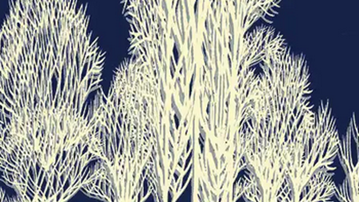 Kultura erdigunean, 'Pailazokoadroak' mikroantzerkia