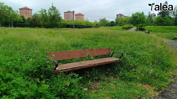 Zaindu gabeko loreak Gasteizen