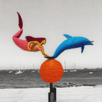 Gauekoak | Argazkien bordaketa