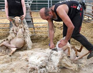 [AURRERAPENA] Industria zaharra, arte bihurtuta