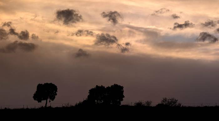 Gaurkoz, hodeiak bueltaka