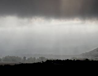 Giro griskara ez da desagertuko