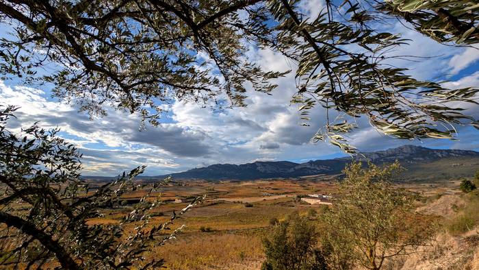 Pilatuko da hodeitza, eta bustiko du