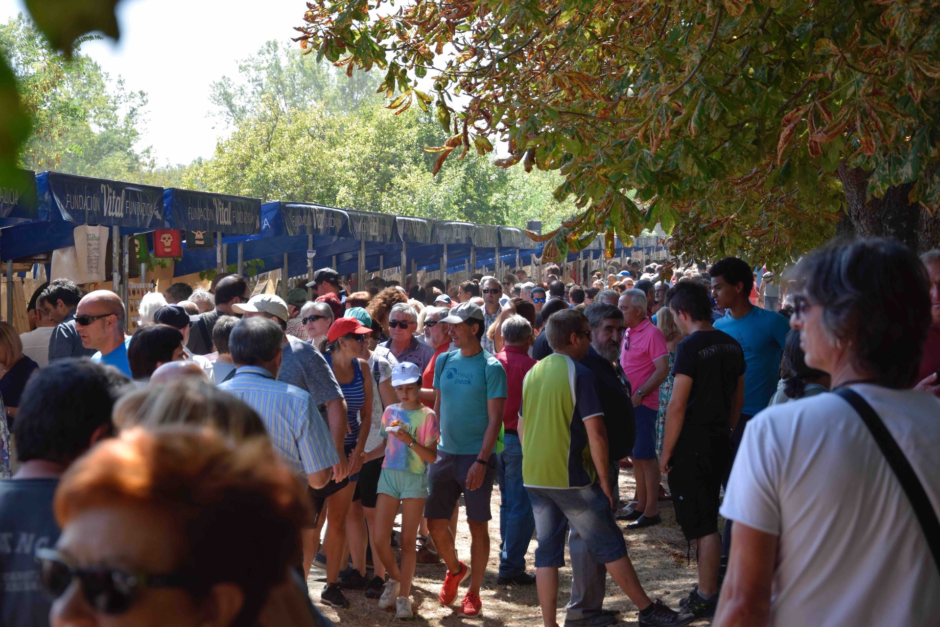 Angostoko azoka itzuliko da igande honetan Gaubeara