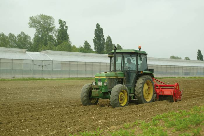 Milioi euroko dirulaguntza onartu du Aldundiak nekazaritza ekologikoa sustatzeko