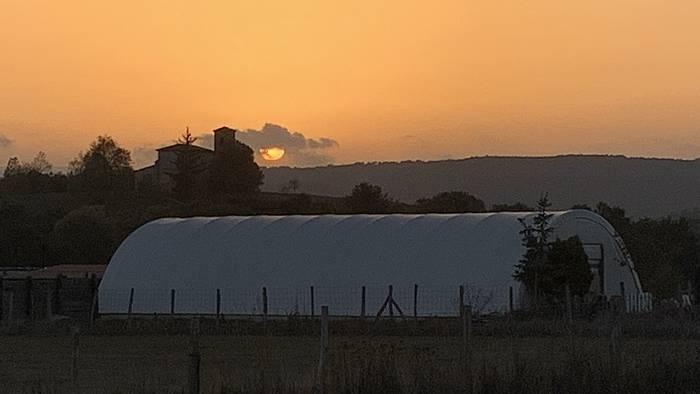 Hodeiekin, baina gardentzeko joeran