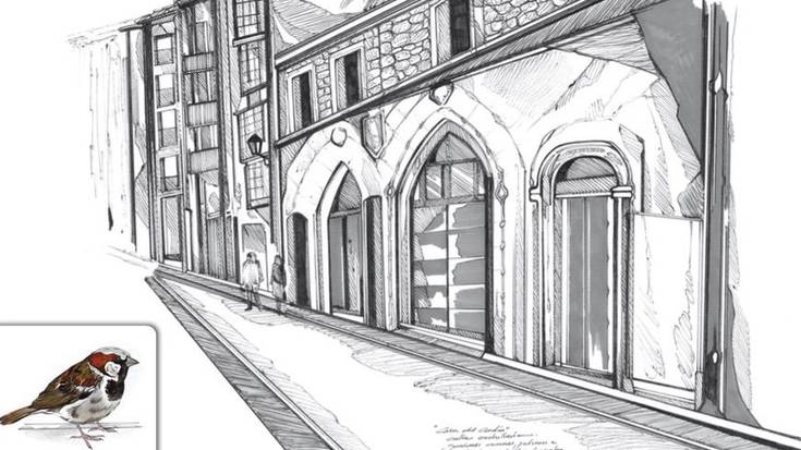 Gasteizko hegaztien gidaliburua argitaratu dute