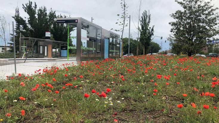 Aurrera doa Bus Elektriko Adimentsuaren ibilbiderako korridore berdearen landaketa