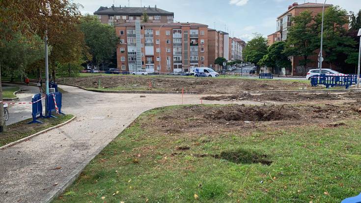 Mendizorrotza eta Esmaltacionesen 143 zuhaitz moztu dituztela salatu du PPk