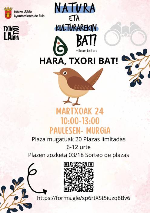 'Hara, txori bat'