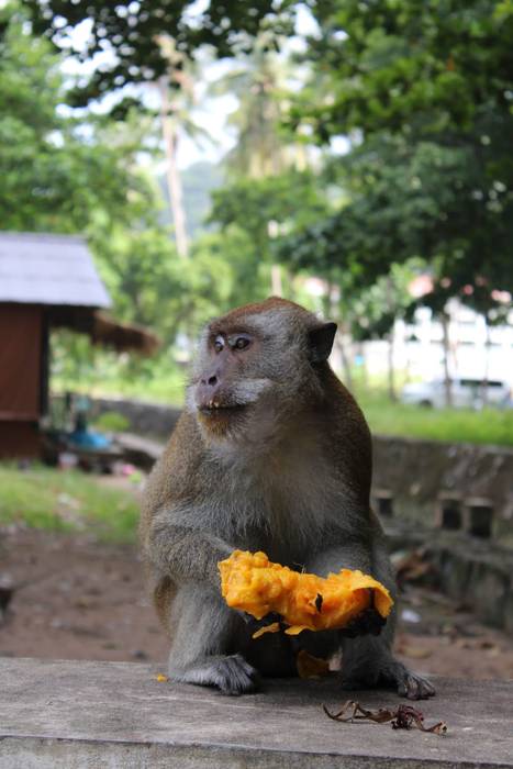 Begirada baten indarra.