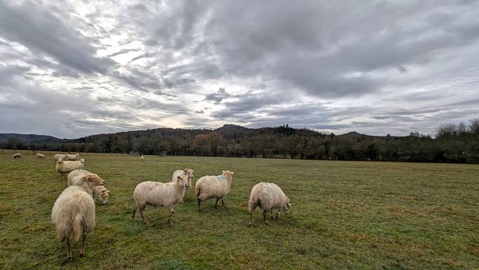 Antzera, askotariko giroekin