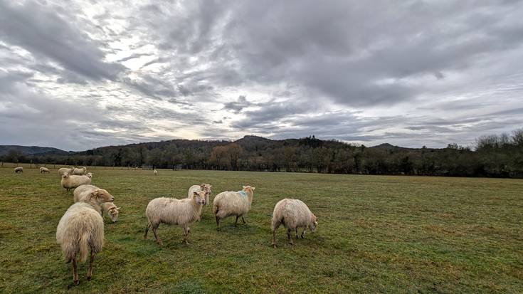 Antzera, askotariko giroekin
