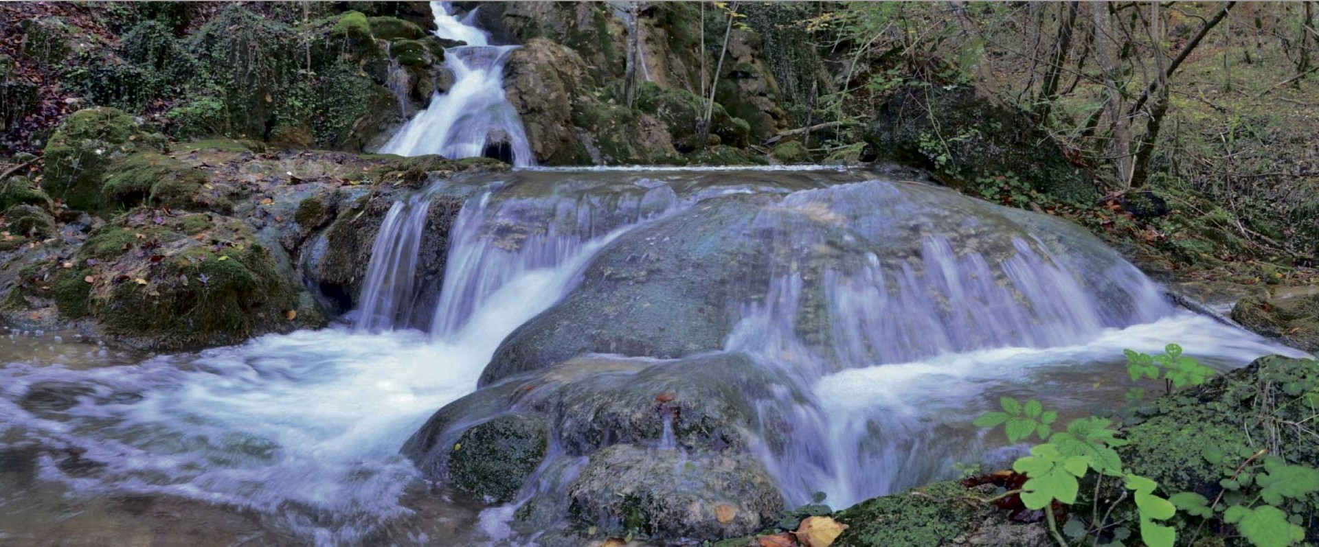 Andoin, toba herria