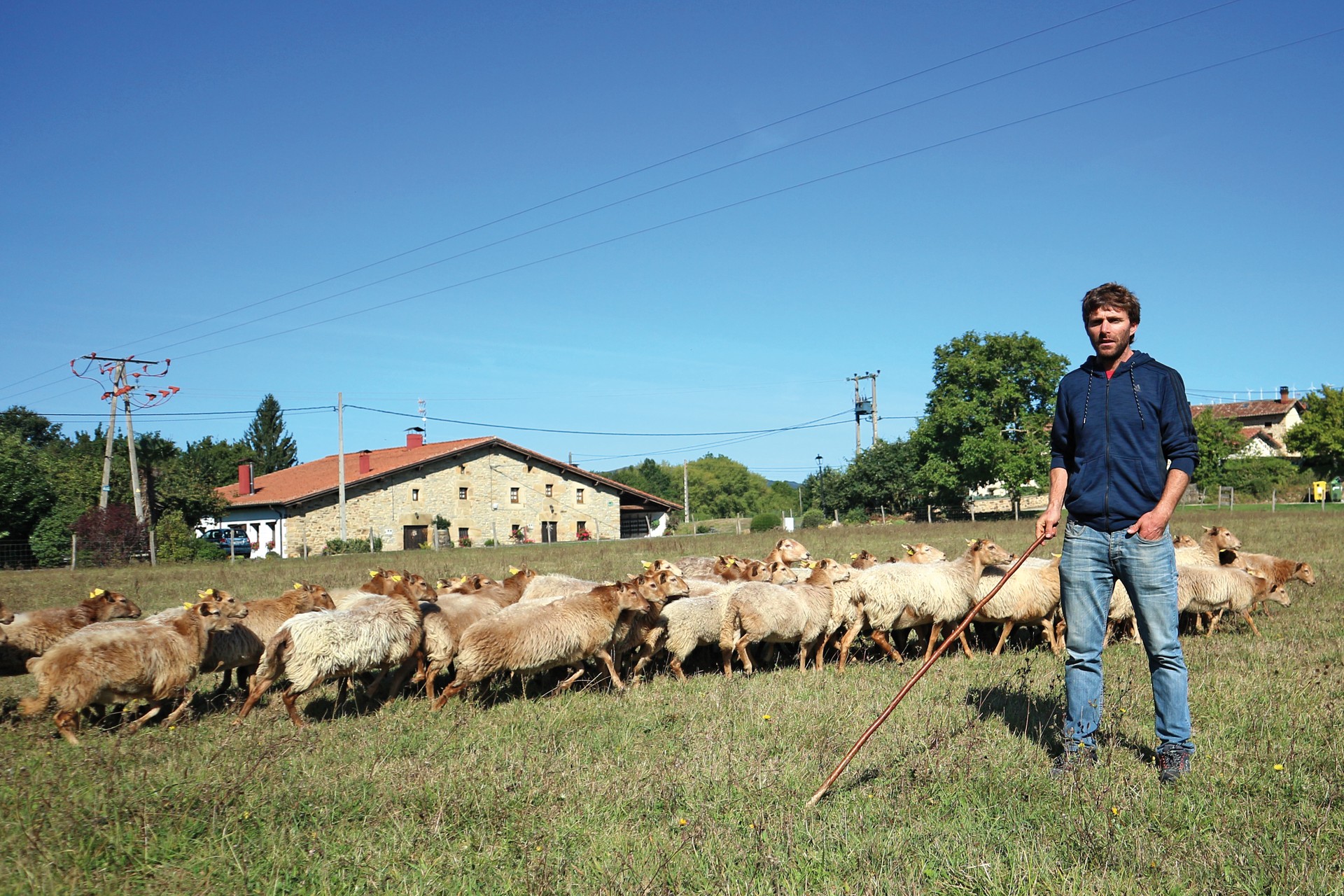 "Esfortzuarekin, posible da ekoizpen ekologikoa egitea"