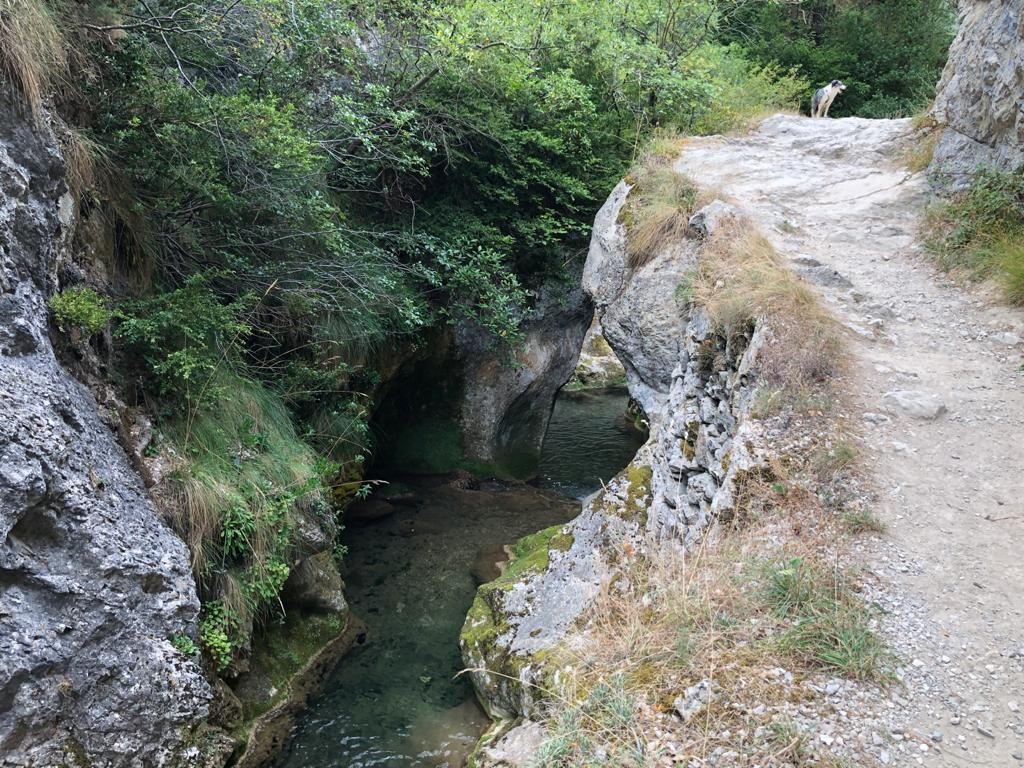 Hainbat ibai erreserba natural izendatzea eskatu du Zadorra Bizirikek