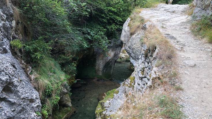 Puroiaren haitzartea eta putrearen erresuma