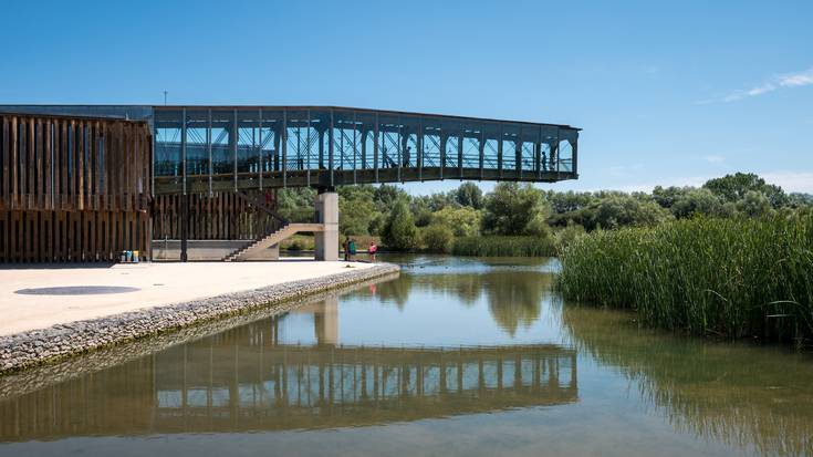 [FAMILIENTZAKO JARDUERA] Hezeguneko ezkutuko biztanleak