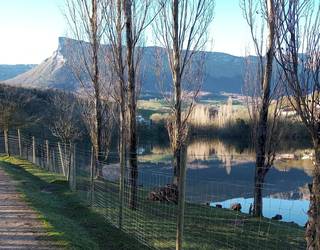 Maroñoko urtegiaren inguruak txukundu dituzte