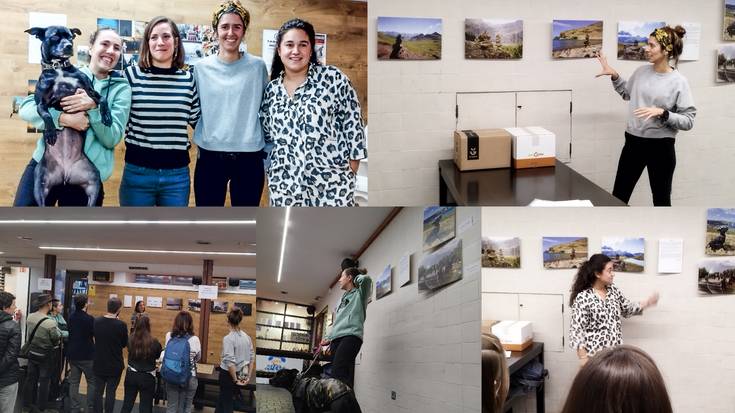 Oporklik! 2023 lehiaketako argazkiak, Falerinan ikusgai