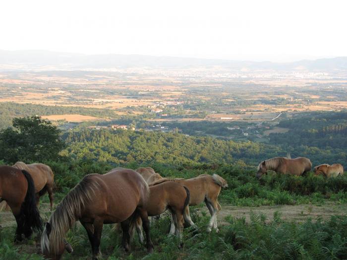 Gurasolagunen irteera