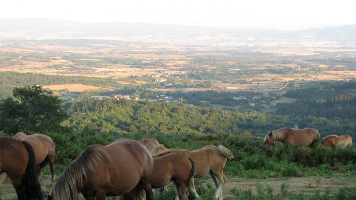 Gurasolagunen irteera