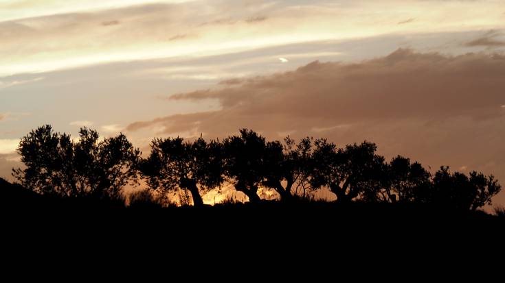 Hodeitzak handitzera joko du