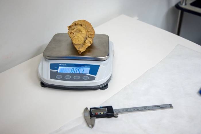 Aldundia akusazio gisa uxatu zuten Bakoren buruaren auzian