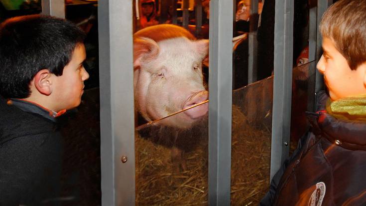 San Prudentzio egoitzan izango da aurtengo San Anton eguneko zozketa