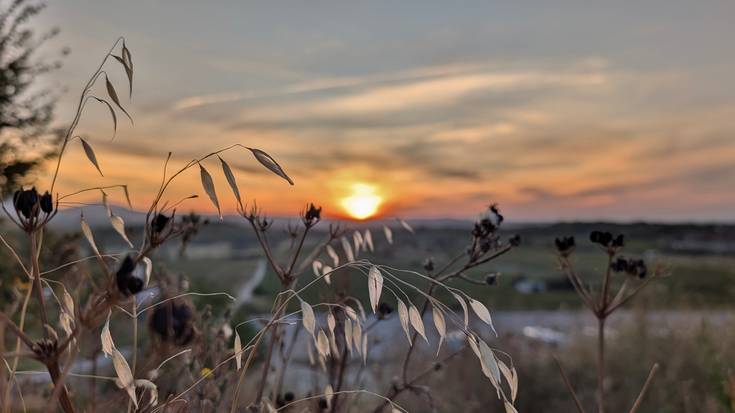 Oskarbi, eta bero handiarekin