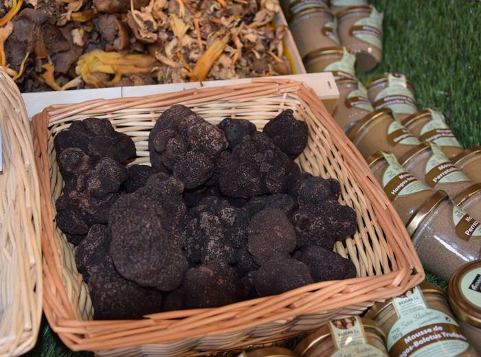 Boilur beltzari, gorazarre