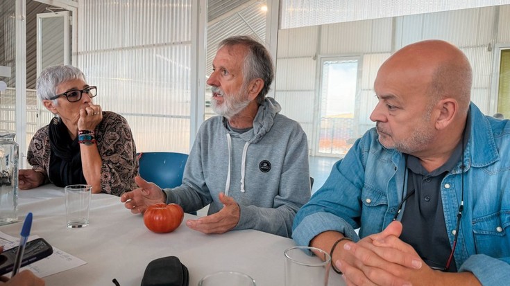 Tomateak: zer baino, garrantzitsuena da nor