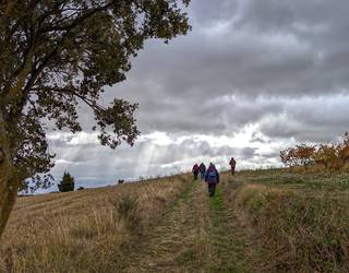 Erresuma zaharraren mugetan