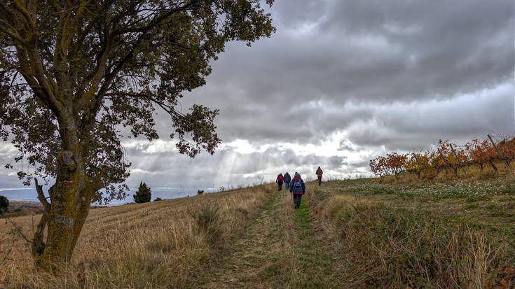 Erresuma zaharraren mugetan