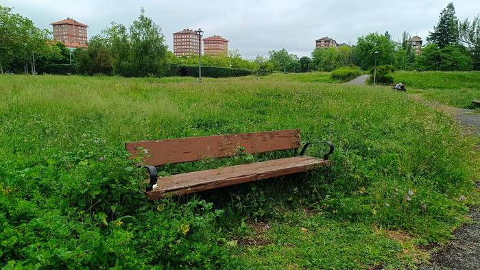 Gasteizko Udalak gutxienezko zerbitzuak eskatu ditu lorezainen grebarako